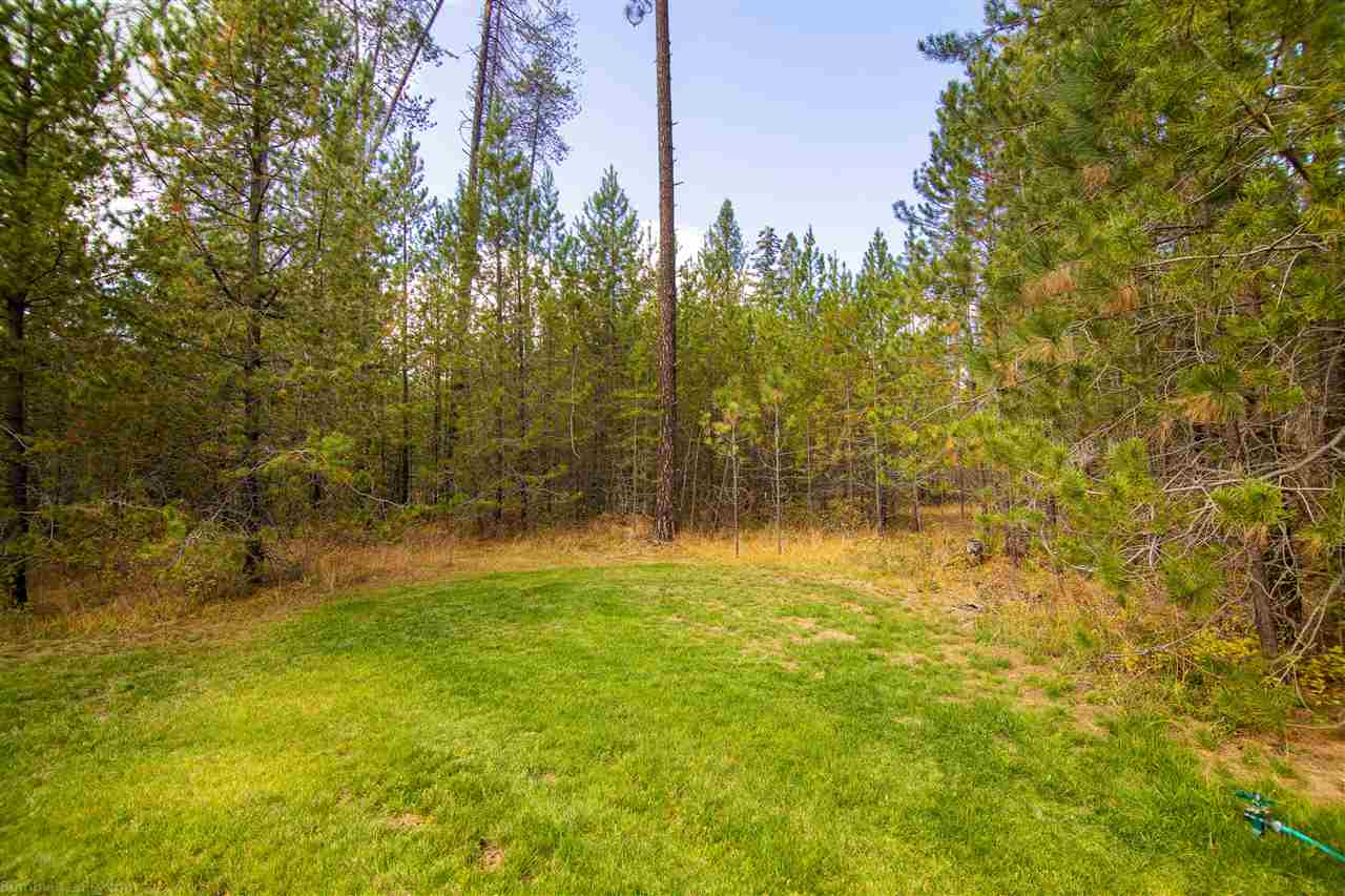 40707 North Jackson Road Elk, WA 99009 - Photo 30 of 43