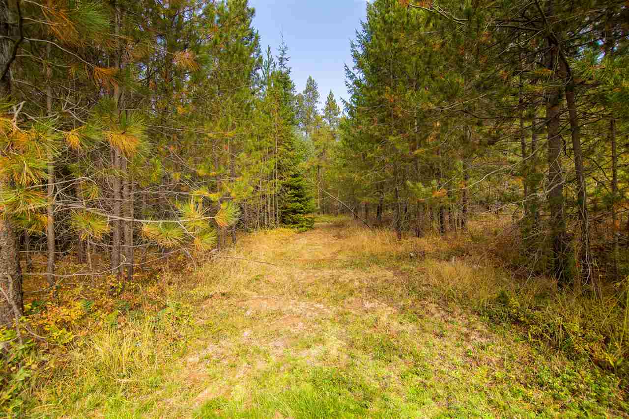 40707 North Jackson Road Elk, WA 99009 - Photo 31 of 43