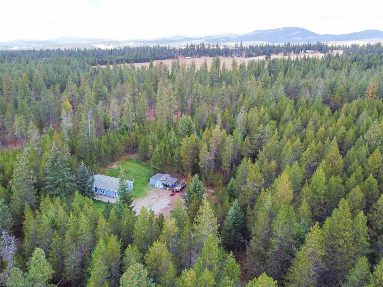 40707 North Jackson Road Elk, WA 99009 - Photo 36 of 43