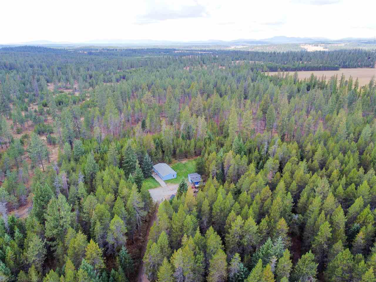40707 North Jackson Road Elk, WA 99009 - Photo 37 of 43