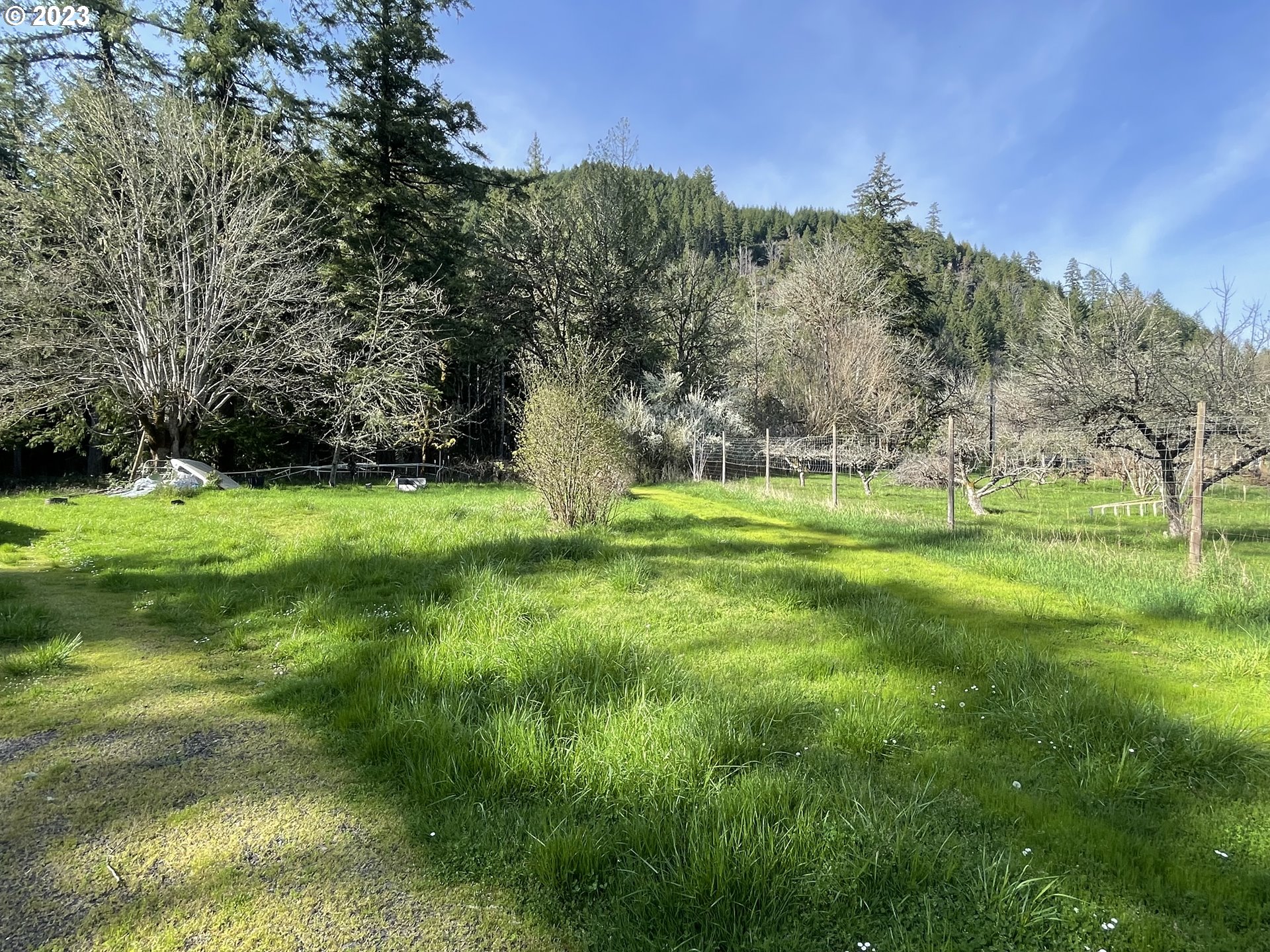 242 Hinkle Creek Road Sutherlin, OR 97479 - Photo 10 of 22 Gallery Image 10