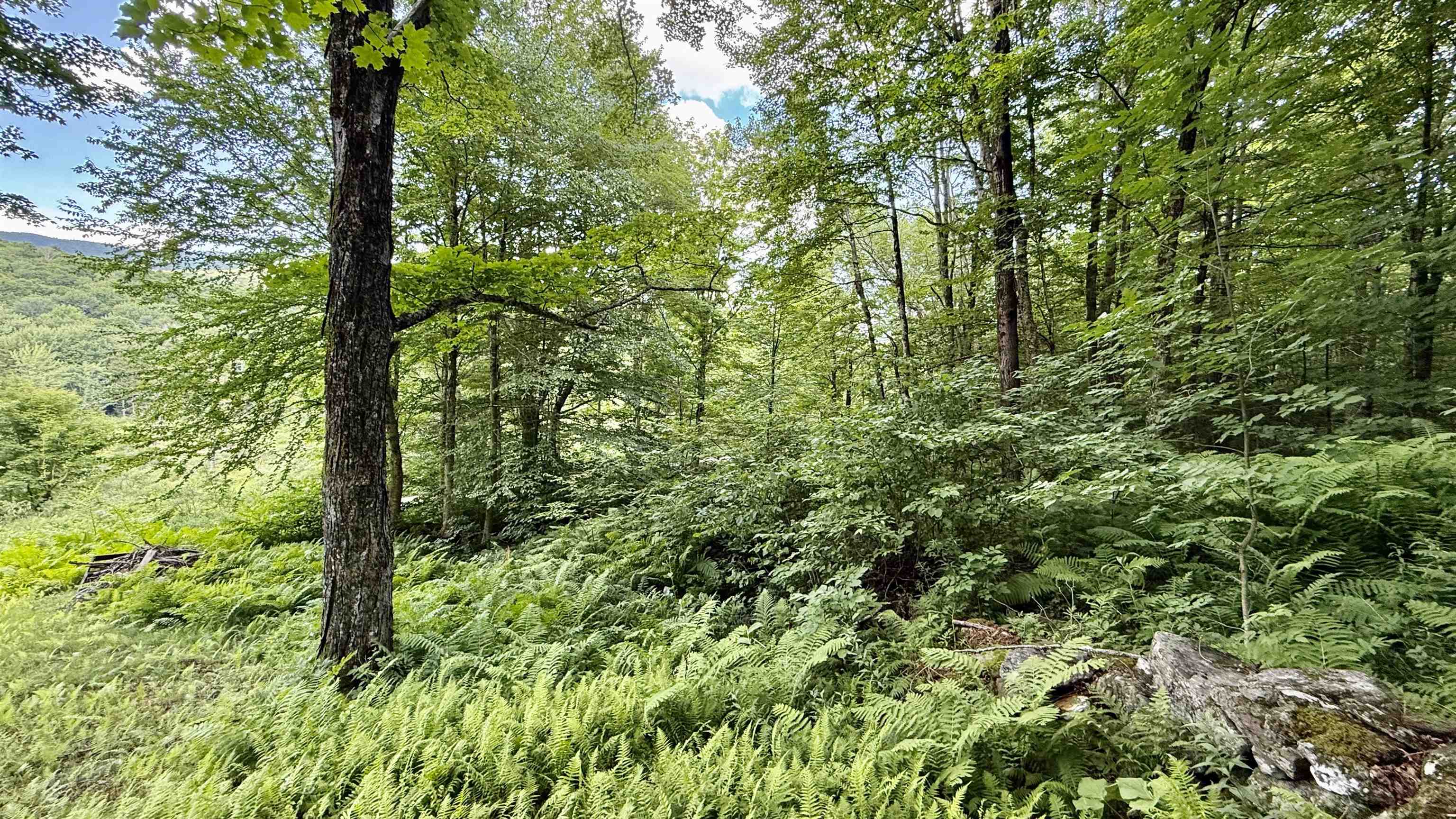 2075 Codding Hollow Road Johnson, VT 05656 - Photo 10 of 59
