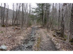 0 Kimball Farm Road Brownsville, VT 05037 - Photo 2 of 24