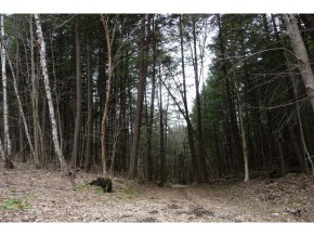 0 Kimball Farm Road Brownsville, VT 05037 - Photo 11 of 24