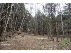 0 Kimball Farm Road Brownsville, VT 05037 - Photo 13 of 24