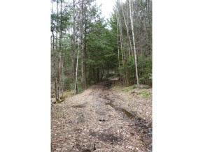 0 Kimball Farm Road Brownsville, VT 05037 - Photo 14 of 24