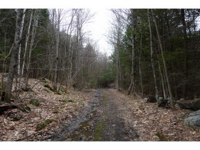 0 Kimball Farm Road Brownsville, VT 05037 - Photo 3 of 24
