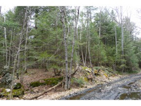 0 Kimball Farm Road Brownsville, VT 05037 - Photo 23 of 24