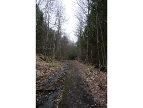 0 Kimball Farm Road Brownsville, VT 05037 - Photo 4 of 24