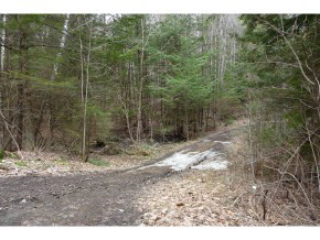 0 Kimball Farm Road Brownsville, VT 05037 - Photo 5 of 24