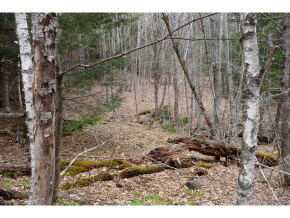 0 Kimball Farm Road Brownsville, VT 05037 - Photo 10 of 24