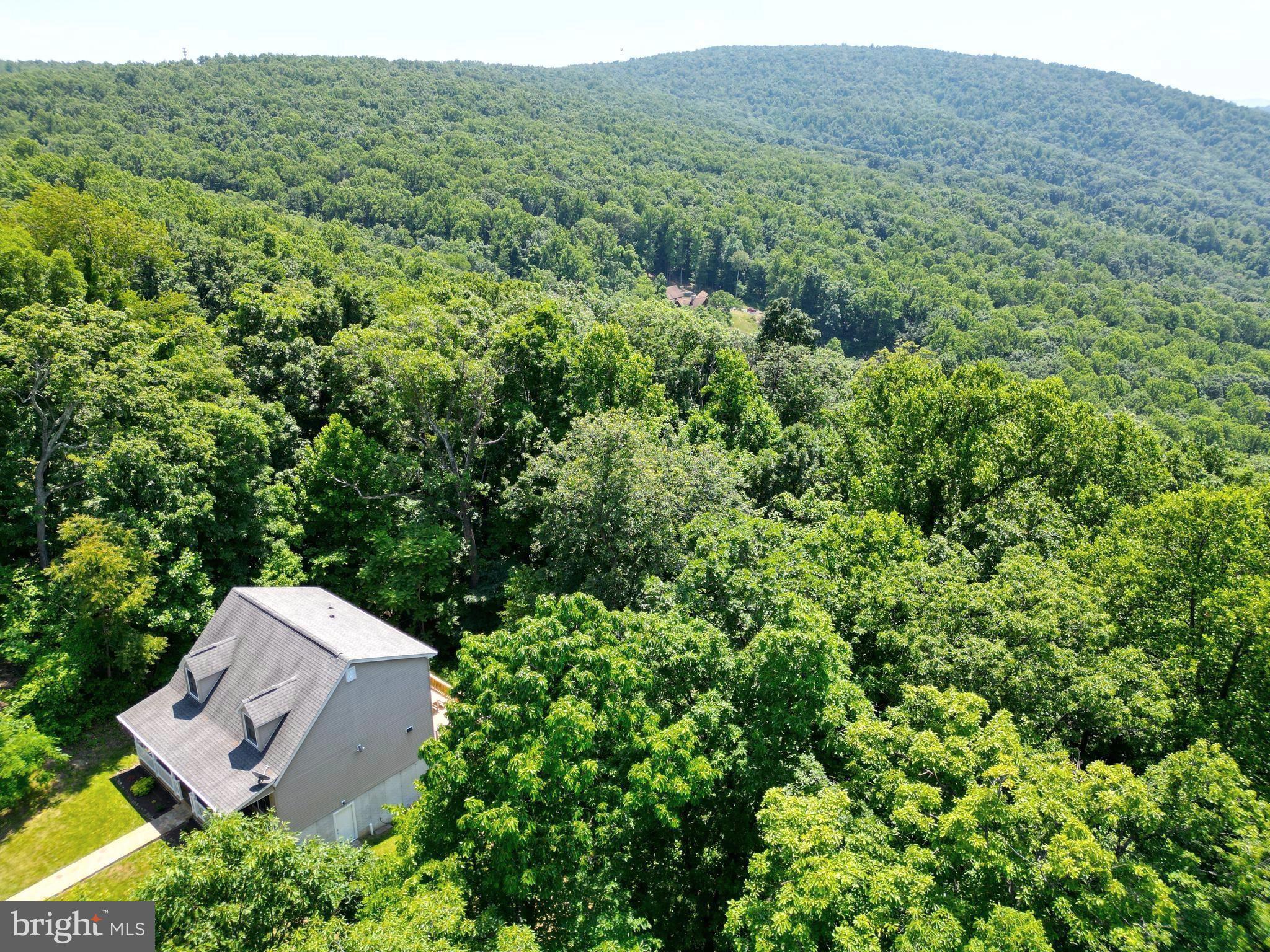 793 Highridge Road Front Royal, VA 22630 - Photo 36 of 46