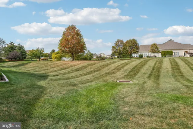 a view of an outdoor space and yard