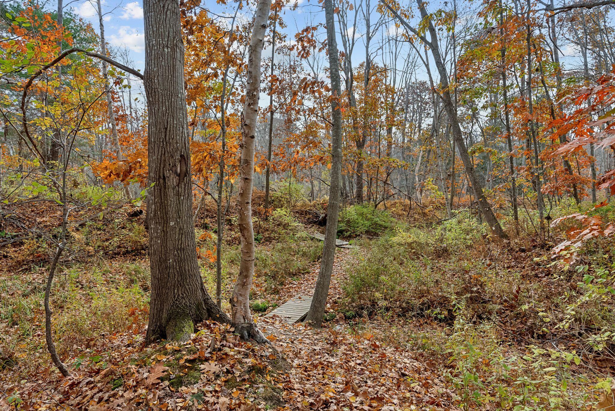 7 Gladys Road Cape Elizabeth, ME 04107 - Photo 25 of 29 Access to Trails