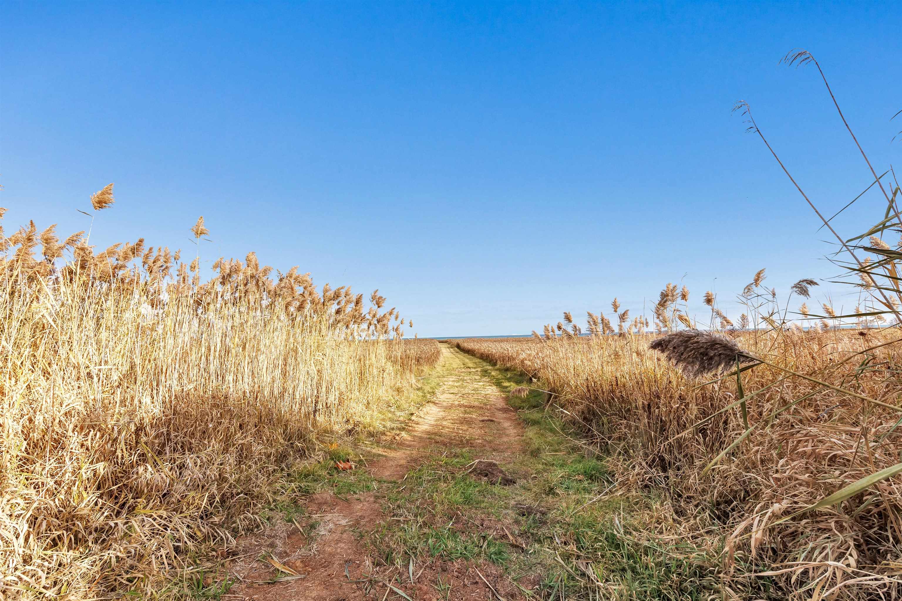 17707 Lakeshore Road Two Rivers, WI 54241 - Photo 25 of 36