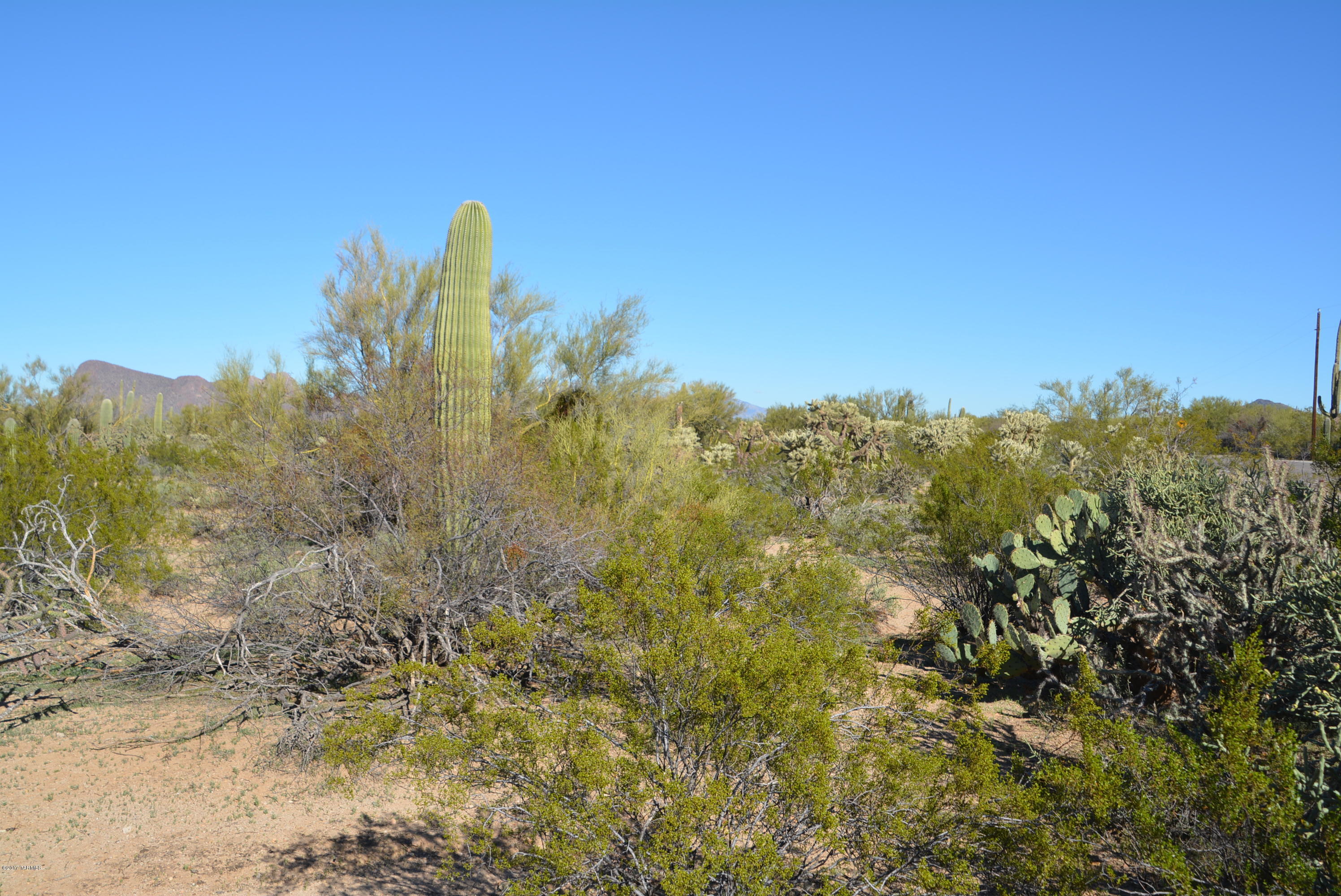 11700 West Rudasill Road, Unit LOT 4 Tucson, AZ 85743 - Photo 3 of 33
