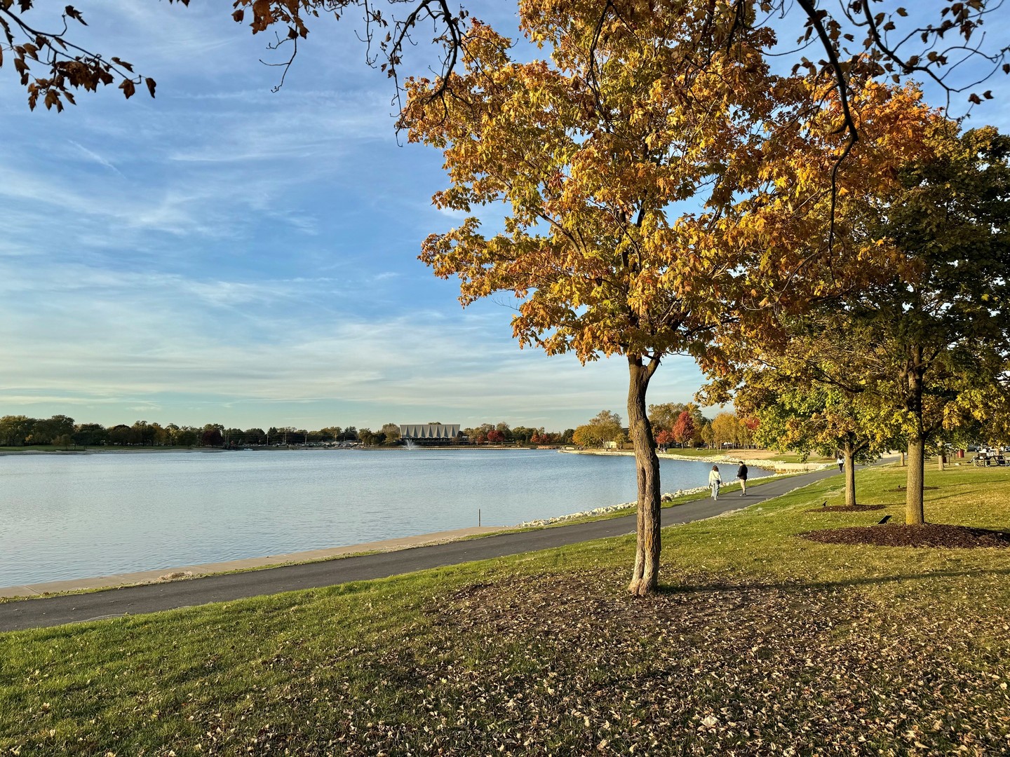 711 South River Road, Unit 314 Des Plaines, IL 60016 - Photo 44 of 56 Gallery Image 44