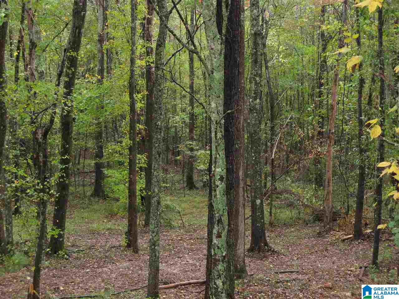 259 Valley Grove Road Goodwater, AL 35072 - Photo 28 of 30