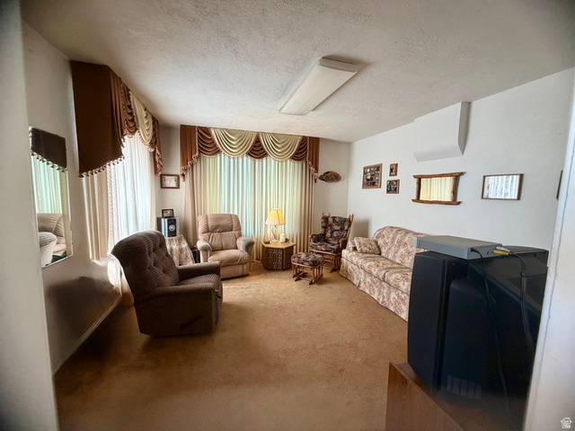 85 South Main Street Woodruff, UT 84086 - Photo 5 of 14 Spacious living area featuring wall-to-wall carpeting and neutral wall tones