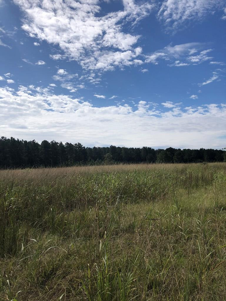 Millcreek Road Vance, SC 29163 - Photo 2 of 4 Photo 2