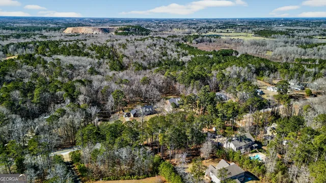 a view of a city with lush green forest
