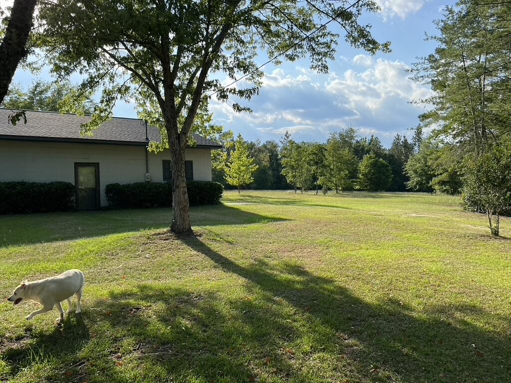672 Redds Branch Road Aiken, SC 29801 - Photo 36 of 52