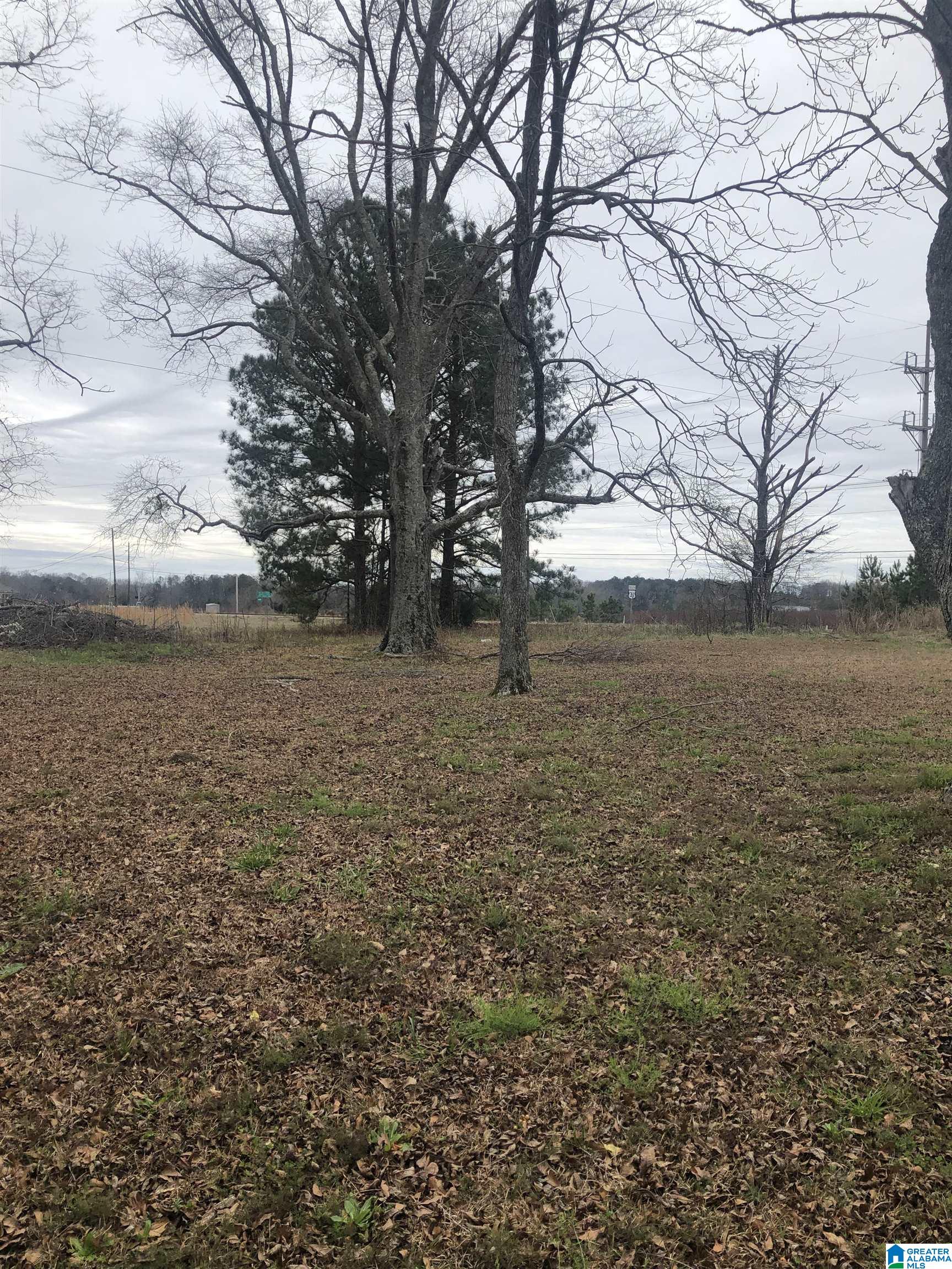 71 County Road Thorsby, AL 35171 - Photo 1 of 16