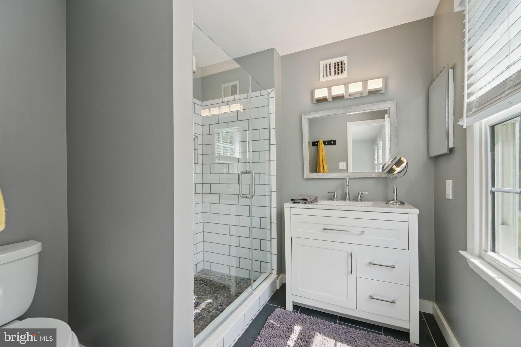 15108 Watergate Road Silver Spring, MD 20905 - Photo 17 of 33 a bathroom with a toilet a sink a mirror a shower and vanity
