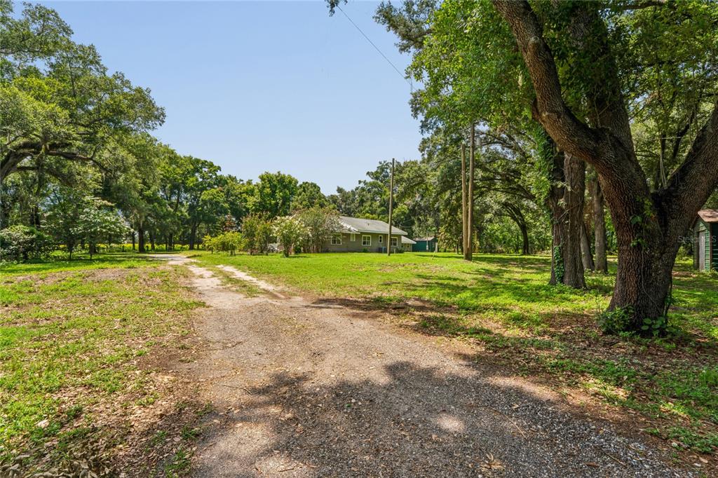 6202 Stafford Road Plant City, FL 33565 - Photo 51 of 79