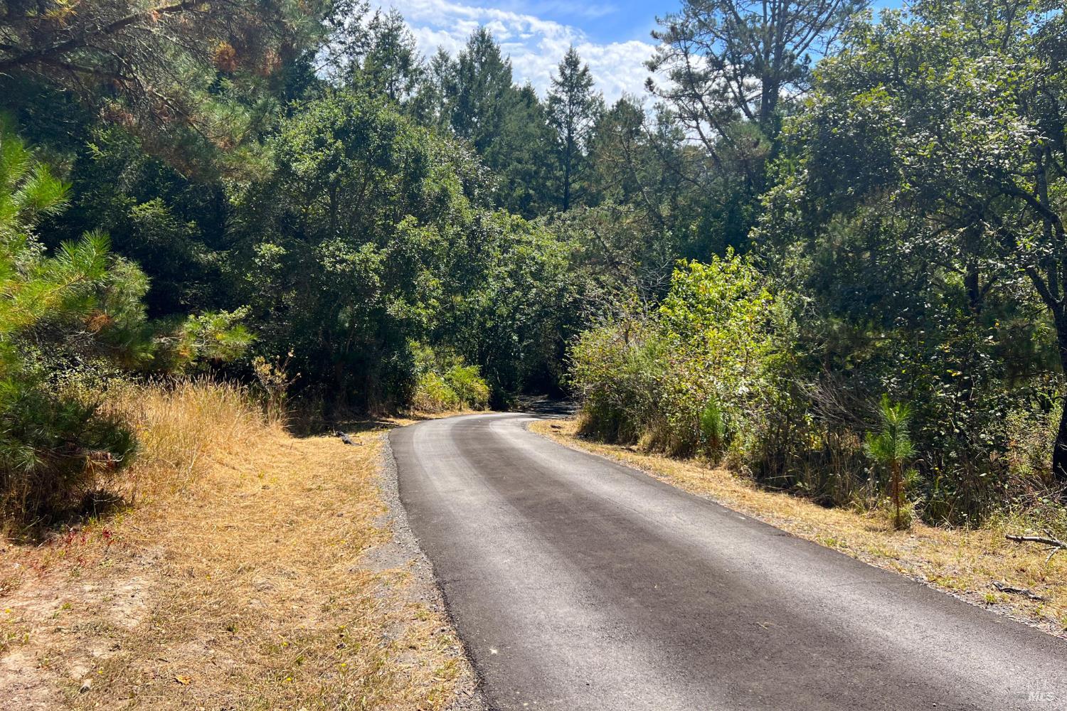 10635 Barnett Valley Road Sebastopol, CA 95472 - Photo 43 of 49 Gallery Image 43