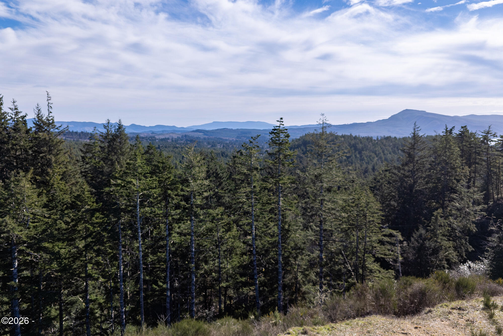 7 Ava Place Tillamook, OR 97141 - Photo 4 of 13 dji_20260226132251_0085_d-edit-1
