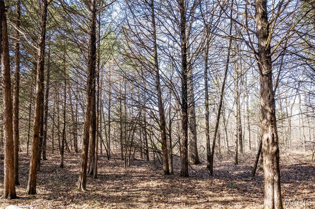 25005 Double B Trail Perry, MO 63462 - Photo 22 of 35