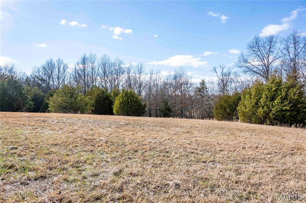 25005 Double B Trail Perry, MO 63462 - Photo 27 of 35