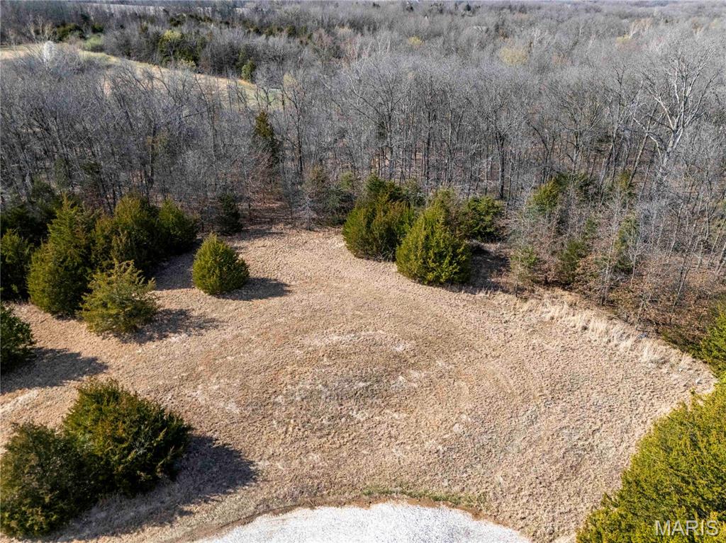 25005 Double B Trail Perry, MO 63462 - Photo 29 of 35