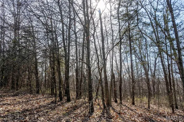 $299,000 | 25005 Double B Trail, Perry, MO 63462