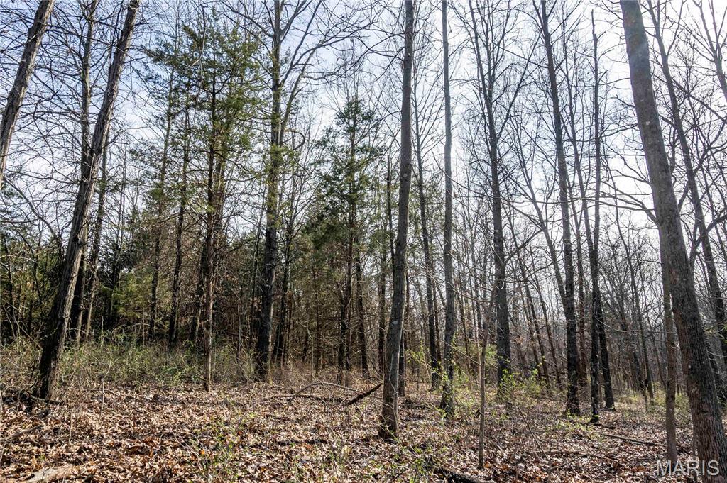 25005 Double B Trail Perry, MO 63462 - Photo 33 of 35