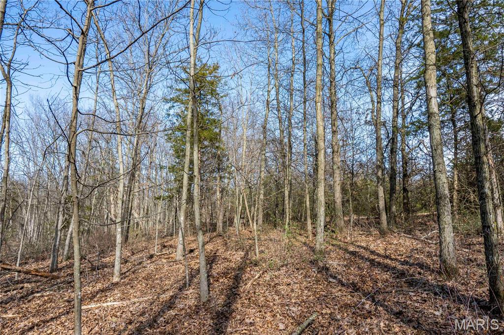 25005 Double B Trail Perry, MO 63462 - Photo 34 of 35