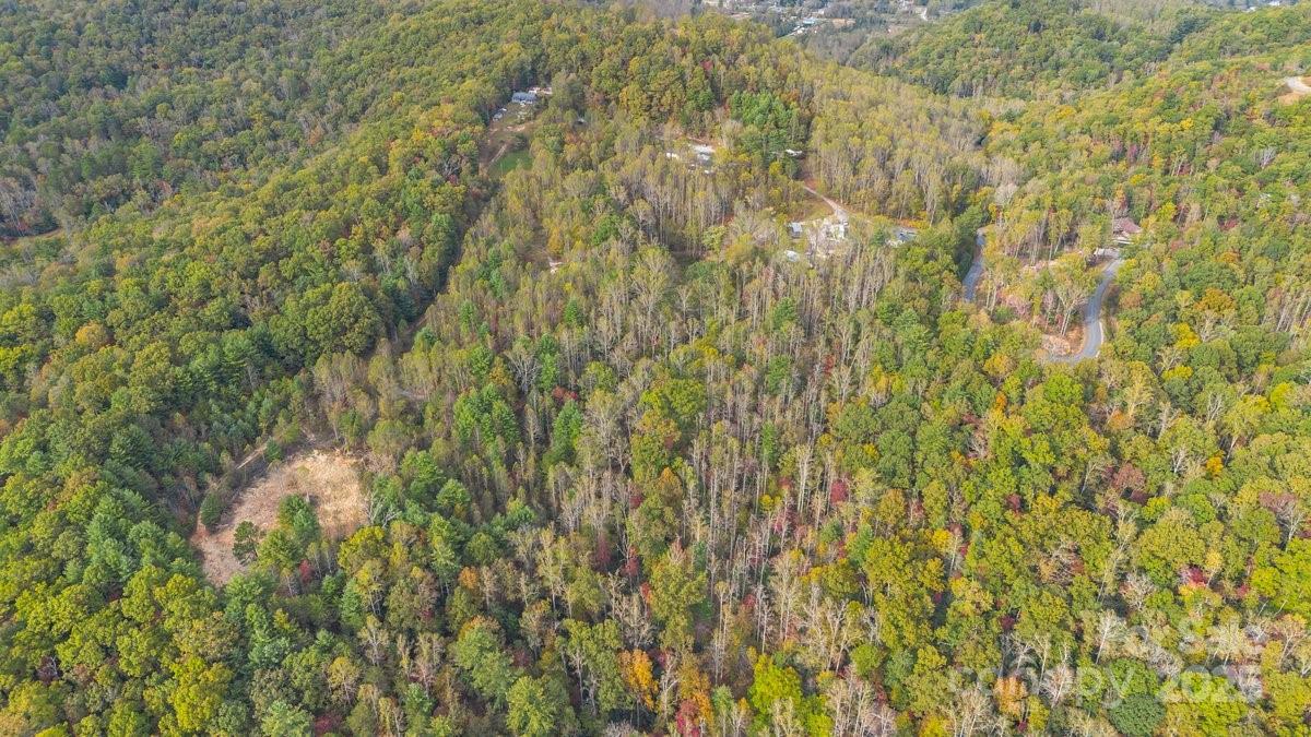 O Kilpatrick Road Hendersonville, NC 28739 - Photo 11 of 14