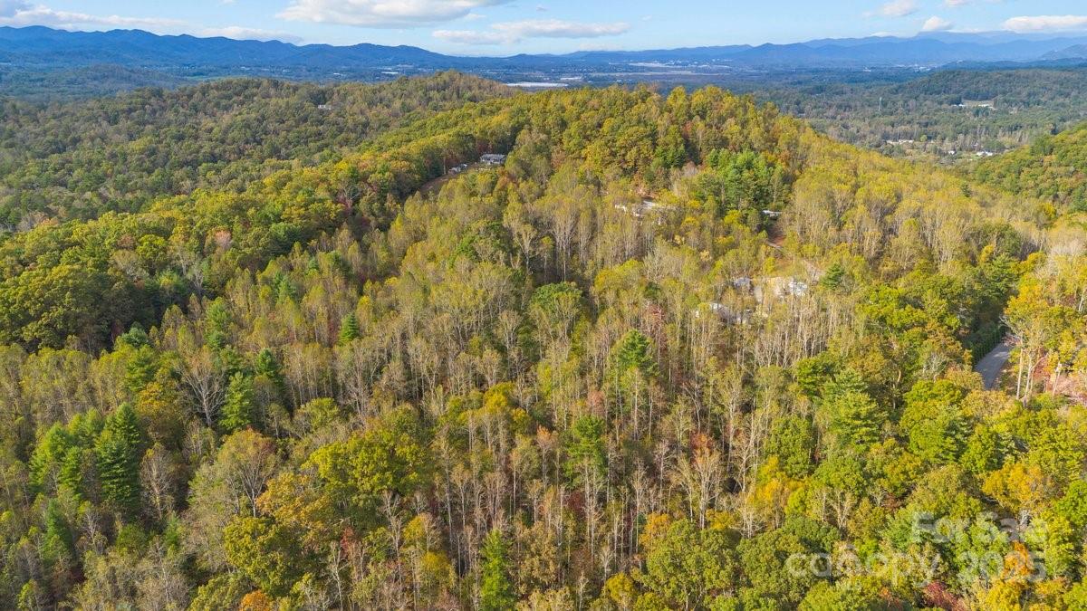 O Kilpatrick Road Hendersonville, NC 28739 - Photo 12 of 14