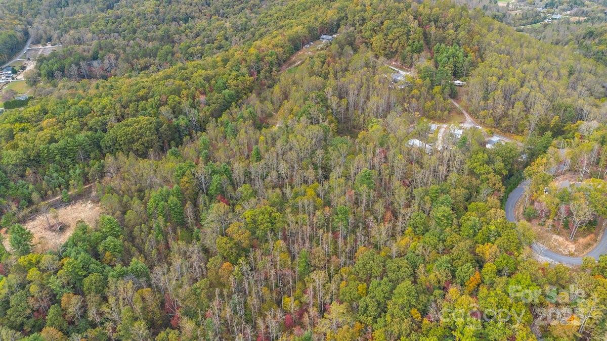 O Kilpatrick Road Hendersonville, NC 28739 - Photo 13 of 14 a view of a yard