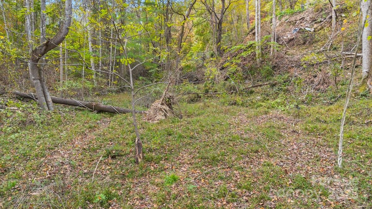 O Kilpatrick Road Hendersonville, NC 28739 - Photo 2 of 14 a view of a yard with plants and wooden fence