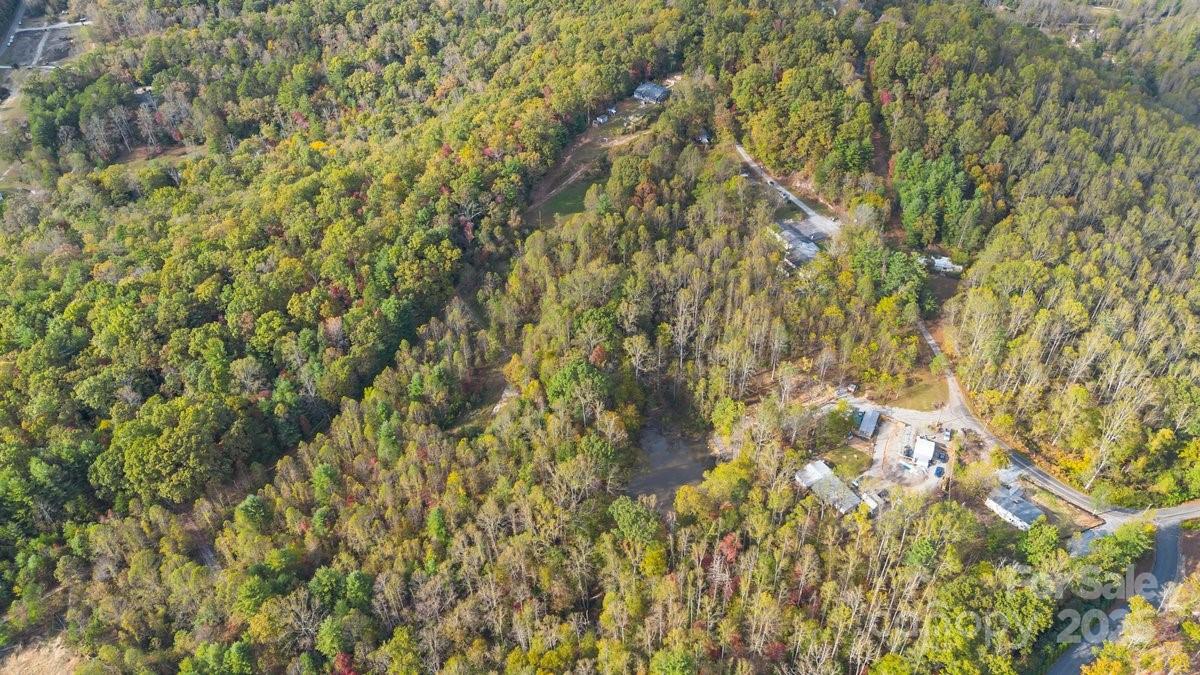 O Kilpatrick Road Hendersonville, NC 28739 - Photo 3 of 14 a view of a yard with a tree