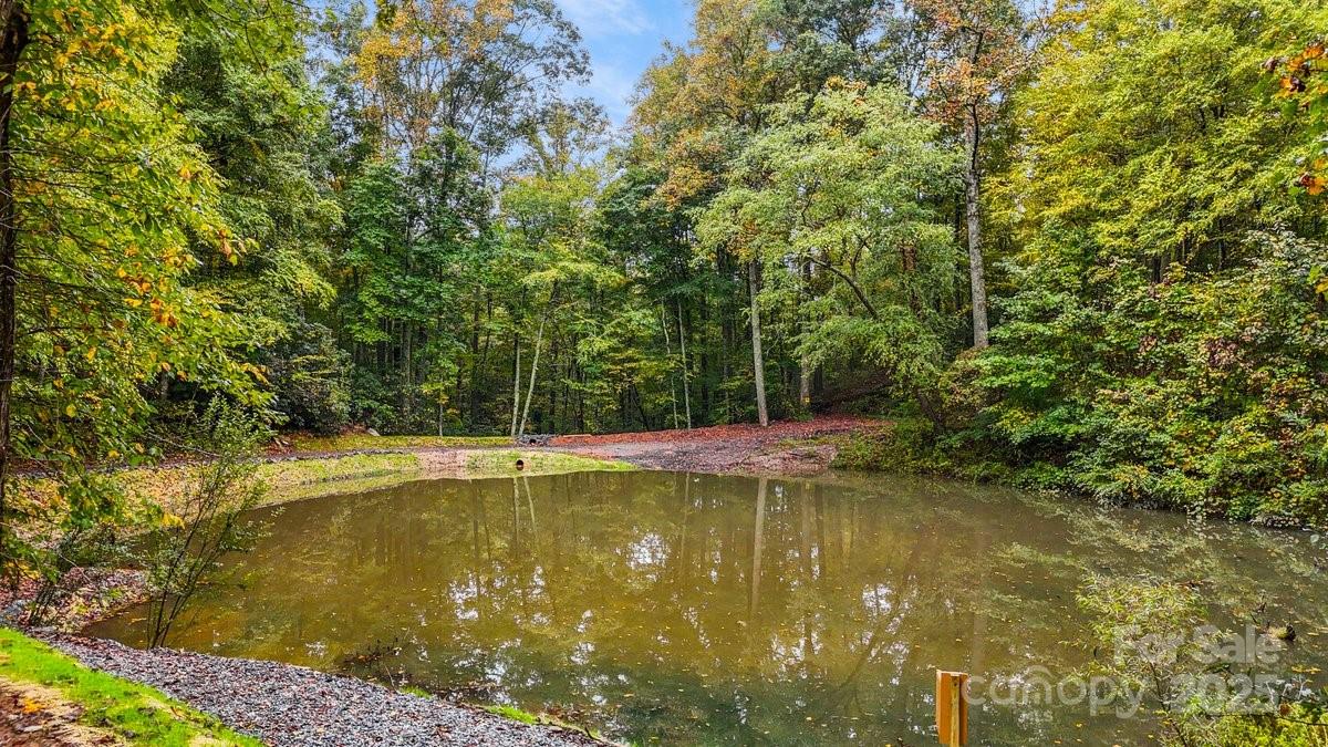 O Kilpatrick Road Hendersonville, NC 28739 - Photo 4 of 14 a view of a swimming pool and trees in the background