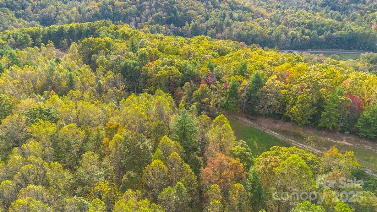 O Kilpatrick Road Hendersonville, NC 28739 - Photo 5 of 14 a view of a yard