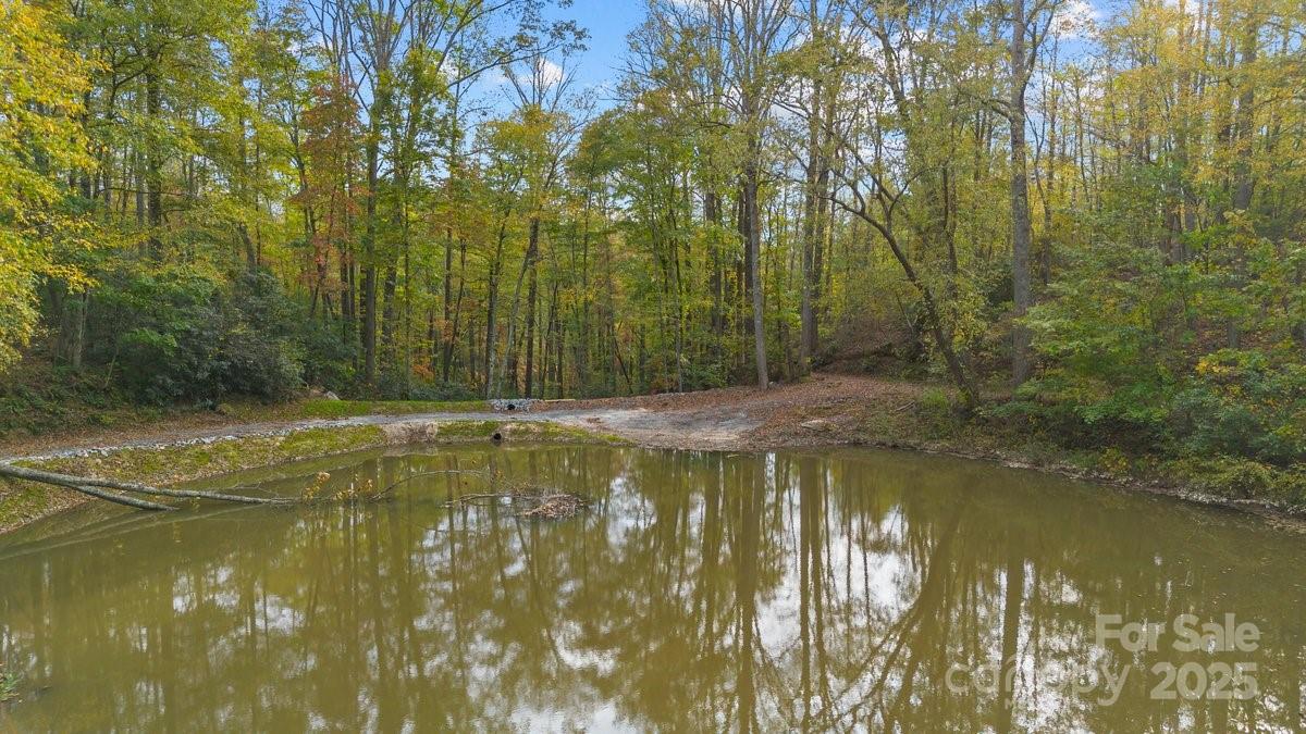 O Kilpatrick Road Hendersonville, NC 28739 - Photo 7 of 14 a view of swimming pool next to a yard