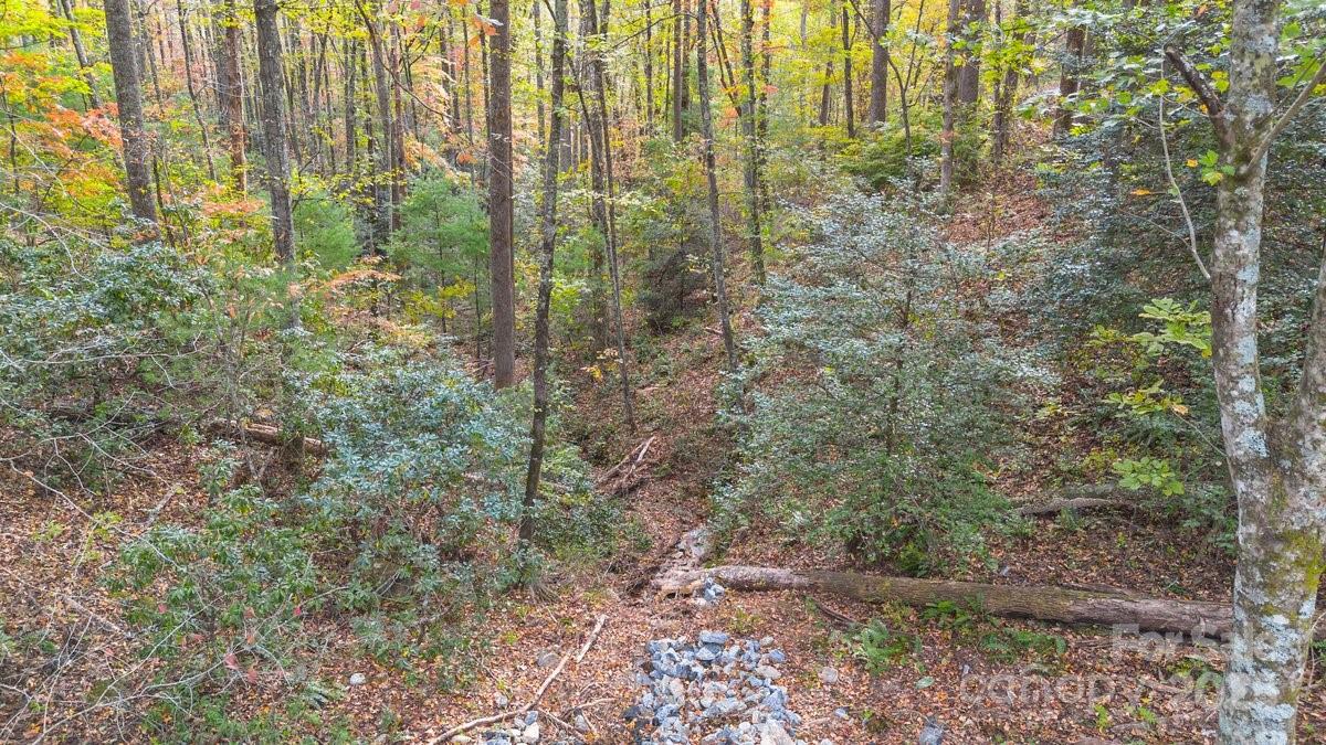 O Kilpatrick Road Hendersonville, NC 28739 - Photo 8 of 14 a view of a forest that has large trees