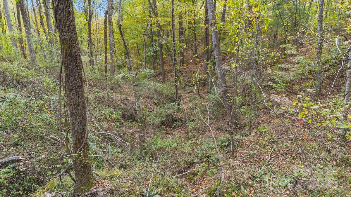 O Kilpatrick Road Hendersonville, NC 28739 - Photo 9 of 14 a view of a garden