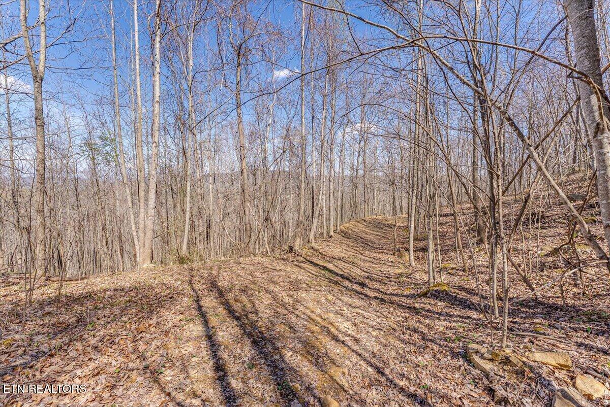 422 Crooked Branch Road Huntsville, TN 37756 - Photo 34 of 35 44-Trail A4