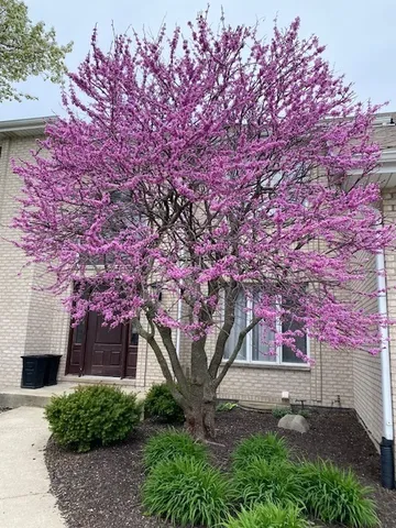 $745,000 | 11008 Laurel Hill Drive, Orland Park, IL 60467