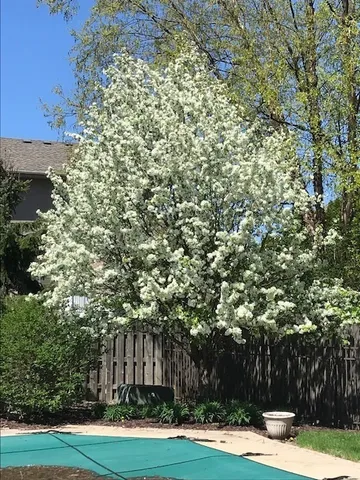 $745,000 | 11008 Laurel Hill Drive, Orland Park, IL 60467